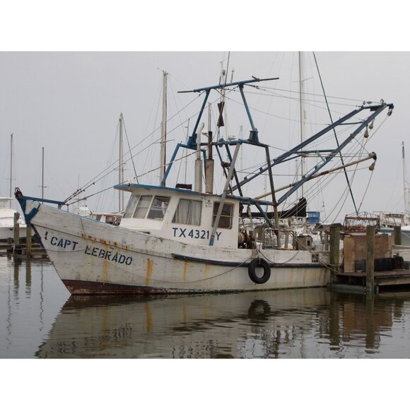 Nikon COOLPIX L27 Digital Camera 16.1MP 5x Optical Zoom HD Video 32GB SD - Picture 8 of 16